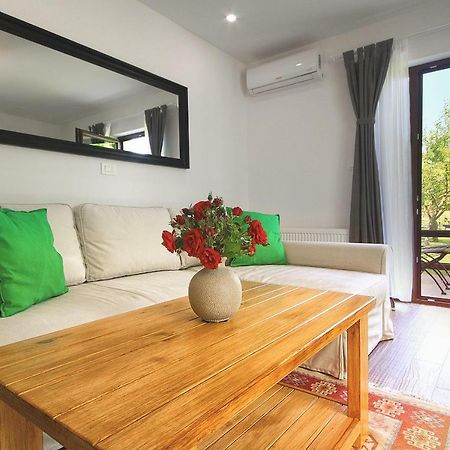 Lagom Apartments Drežnik Grad Εξωτερικό φωτογραφία