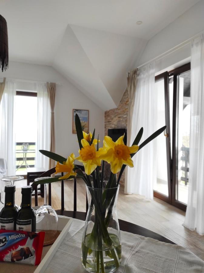 Lagom Apartments Drežnik Grad Εξωτερικό φωτογραφία