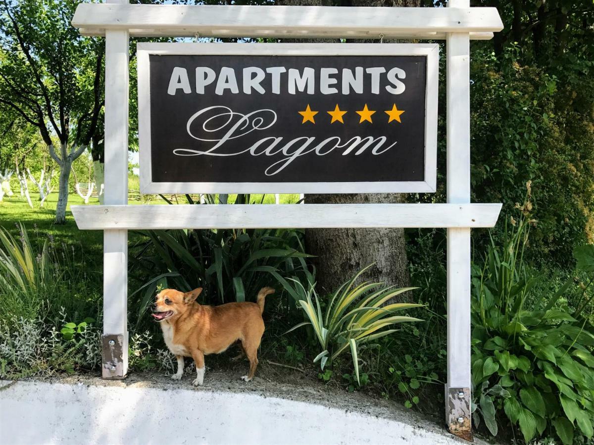 Lagom Apartments Drežnik Grad Εξωτερικό φωτογραφία