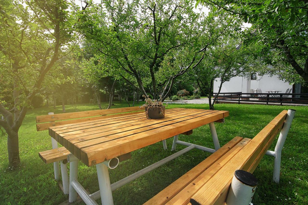 Lagom Apartments Drežnik Grad Εξωτερικό φωτογραφία